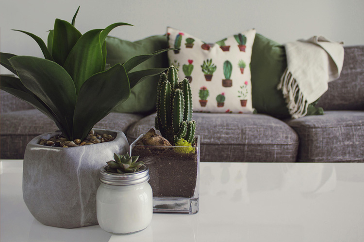 Affordable Home Upgrades